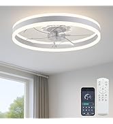 ✨0123 Flora 20 Inch 3 Light LED Chandelier | Capitol Lighting